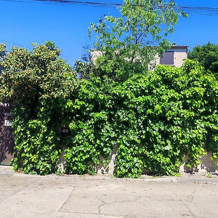 Ingrid Mary Apartment Nimes Bagian luar foto