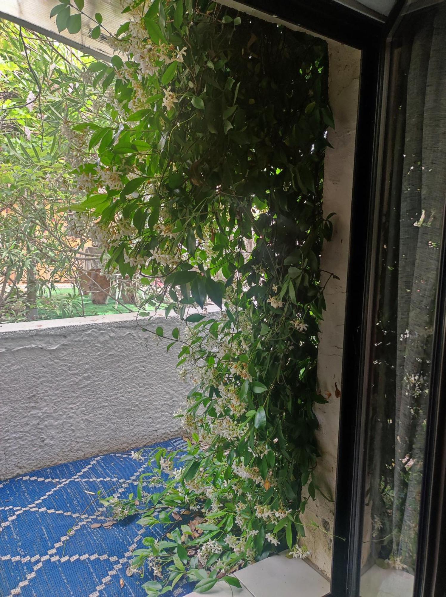 Ingrid Mary Apartment Nimes Ruang foto